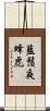 藍鬚夜蜂虎 Scroll