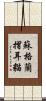 蘇格蘭摺耳貓 Scroll