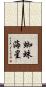 蜘蛛海星 Scroll