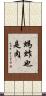 螞蚱也是肉 Scroll