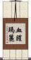 血腥瑪麗 Scroll