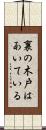 裏の木戸はあいている Scroll