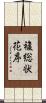 複総状花序 Scroll