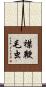 襟鞭毛虫 Scroll