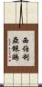 西伯利亞銀鷗 Scroll