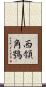 西領角鴞 Scroll