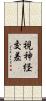 視神経交差 Scroll