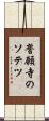誓願寺のソテツ Scroll