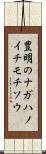 豊明のナガハノイチモチソウ Scroll