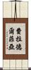 費拉德爾菲亞 Scroll