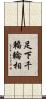 足下千輻輪相 Scroll