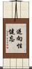逆向性健忘 Scroll