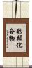 酚類化合物 Scroll