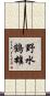 野水鶴雄 Scroll