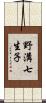 野溝七生子 Scroll