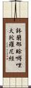 鉢蘭那賖嚩哩大陀羅尼經 Scroll