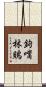 鉤嘴林鵙 Scroll