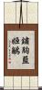 鏽胸藍姬鶲 Scroll