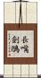 長嘴劍鴴 Scroll