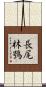 長尾林鴞 Scroll
