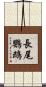 長尾鸚鵡 Scroll