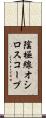 陰極線オシロスコープ Scroll