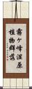 霧ヶ峰湿原植物群落 Scroll