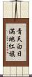 青天白日満地紅旗 Scroll
