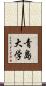 青島大学 Scroll