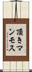 頂きマンモス Scroll