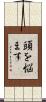 頭を悩ます Scroll