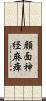 顔面神経麻痺 Scroll