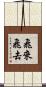 飛來飛去 Scroll