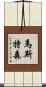 Masterson Scroll