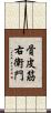 骨皮筋右衛門 Scroll