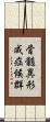 骨髄異形成症候群 Scroll