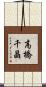 高橋千晶 Scroll