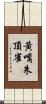 黃嘴朱頂雀 Scroll