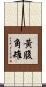 黃腹角雉 Scroll
