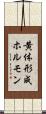 黄体形成ホルモン Scroll