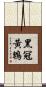 黑冠黃鵯 Scroll