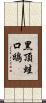 黑頂蛙口鴟 Scroll