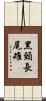 黑頸長尾雉 Scroll