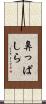 鼻っぱしら Scroll