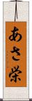 あさ栄 Scroll