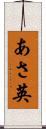 あさ英 Scroll