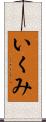 いくみ Scroll