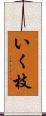 いく枝 Scroll