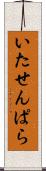 いたせんぱら Scroll
