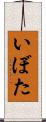 いぼた Scroll